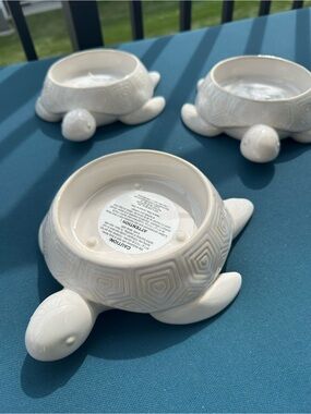Bath & Body Works Sea Turtle 3-Wick Candle Holder